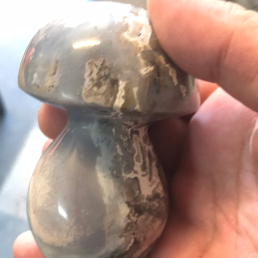 Ocean Jasper Mushroom Debbee
