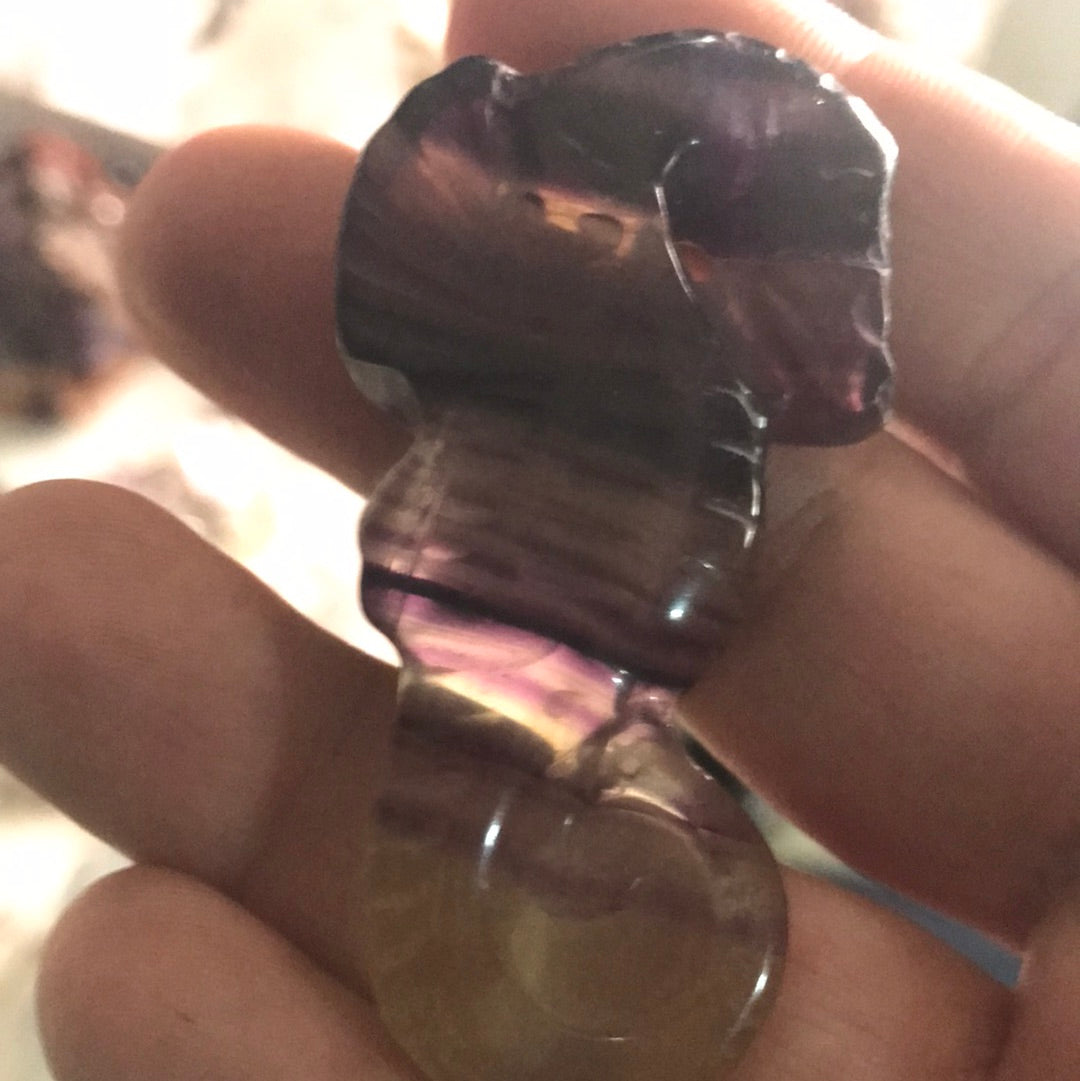 Fluorite seahorse uhmazing