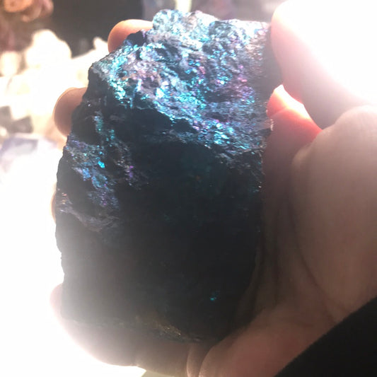 Peacock Ore Carnita