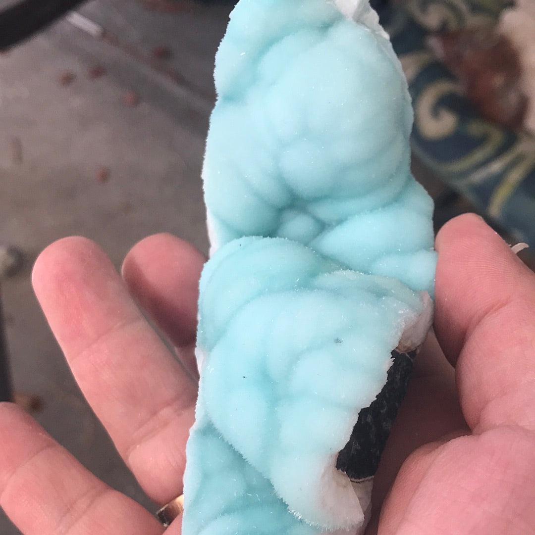 Blue Aragonite Cassie