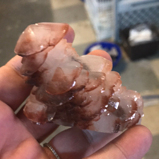 Mushroom calcite maegan