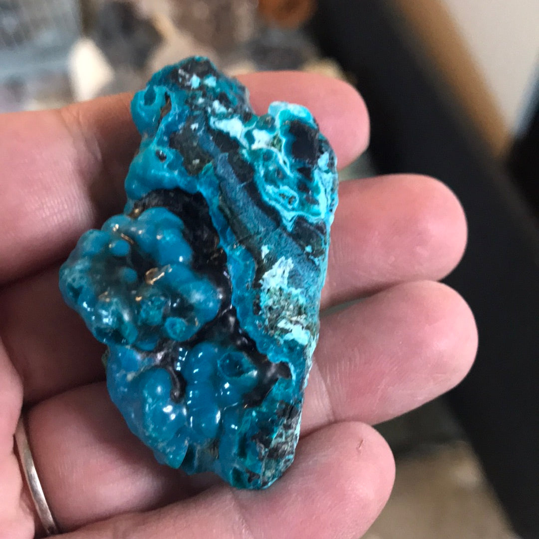 Chrysocolla Tyler