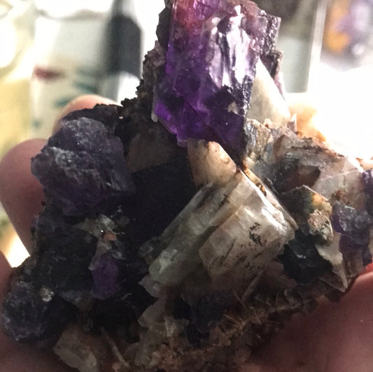 Purple Fluorite navidad Dana