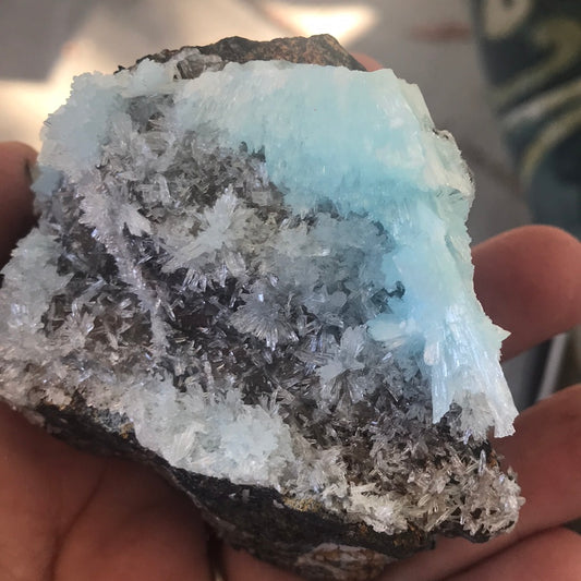 Blue Aragonite Roxie