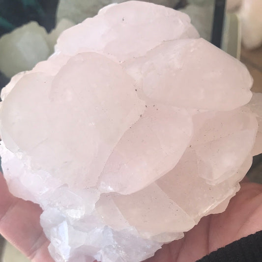 Pink mushroom calcite weird leard