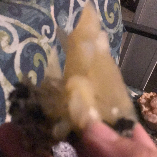 Mango quartz tyler porcelain fluorite