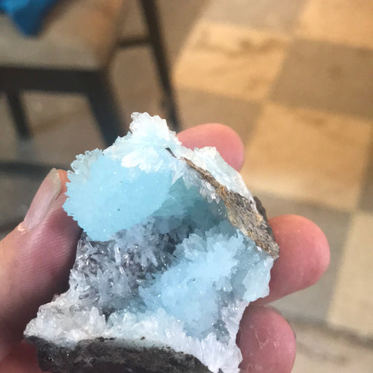 Blue Aragonite KC pink Aragonite