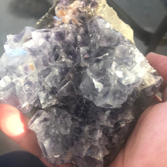 Purple Phantom Fluorite Lauren